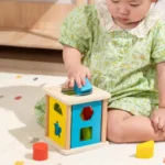 Trieur de formes en bois, jouet trieur de formes en bois, 8 blocs de construction en bois, géométrie, – Image 4