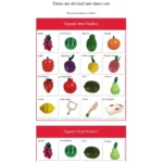 Panier de Fruits & Légumes en Bois  Jeu dImitation Éducatif – Image 2